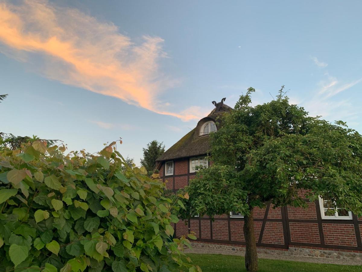 Reet Und Beckerwitz * Hohenkirchen (Nordwestmecklenburg)